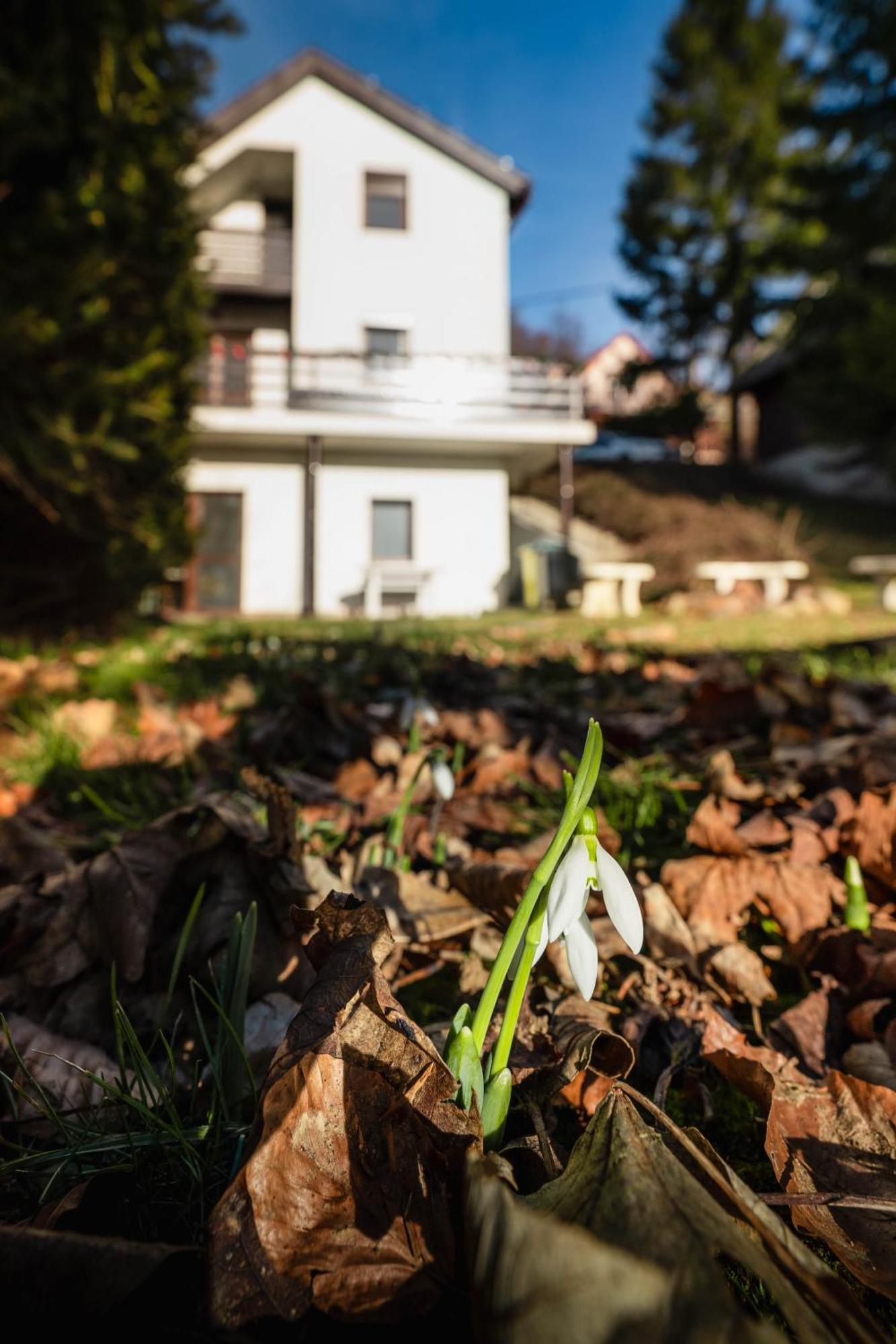 Molnárkalács vendégház Villa Mátraszentimre Esterno foto